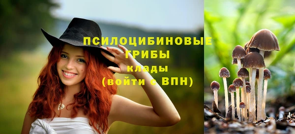 ALPHA PVP Армянск