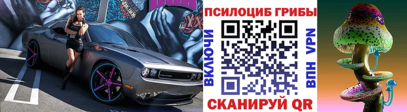 Псилоцибиновые грибы прущие грибы  закладка  Баймак 