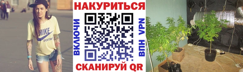 Бошки марихуана семена  Баймак 
